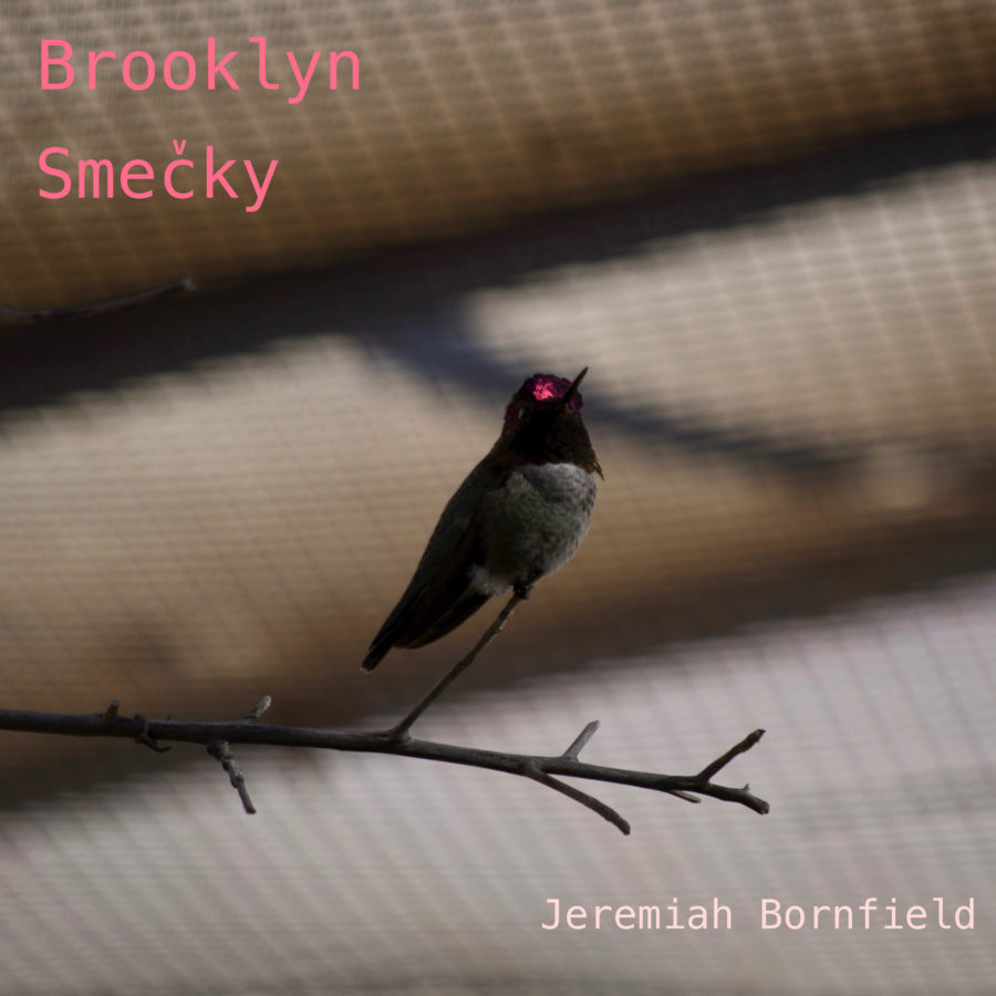 Cover of the album Brooklyn Smecky by film composer, Jeremiah Bornfield